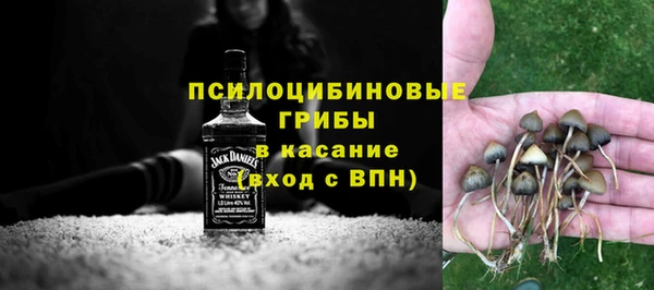 каннабис Новозыбков