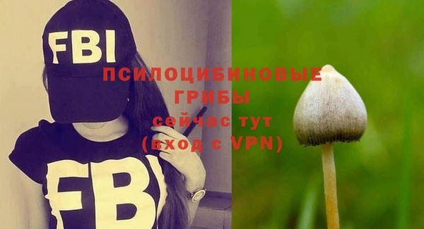 COCAINE Новодвинск