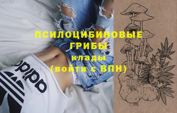 каннабис Новозыбков