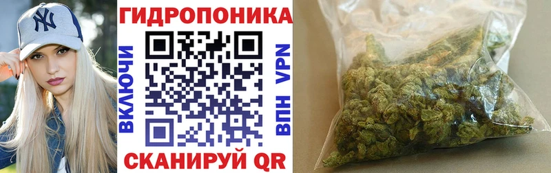 Купить  Кизел  Бошки марихуана гибрид 